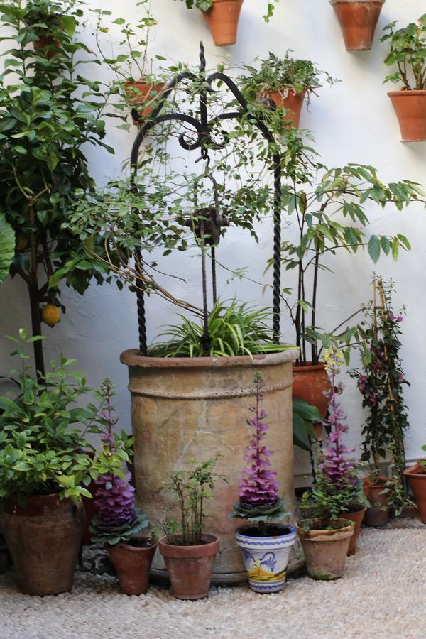 Casa Longa Hotel Córdoba Kültér fotó